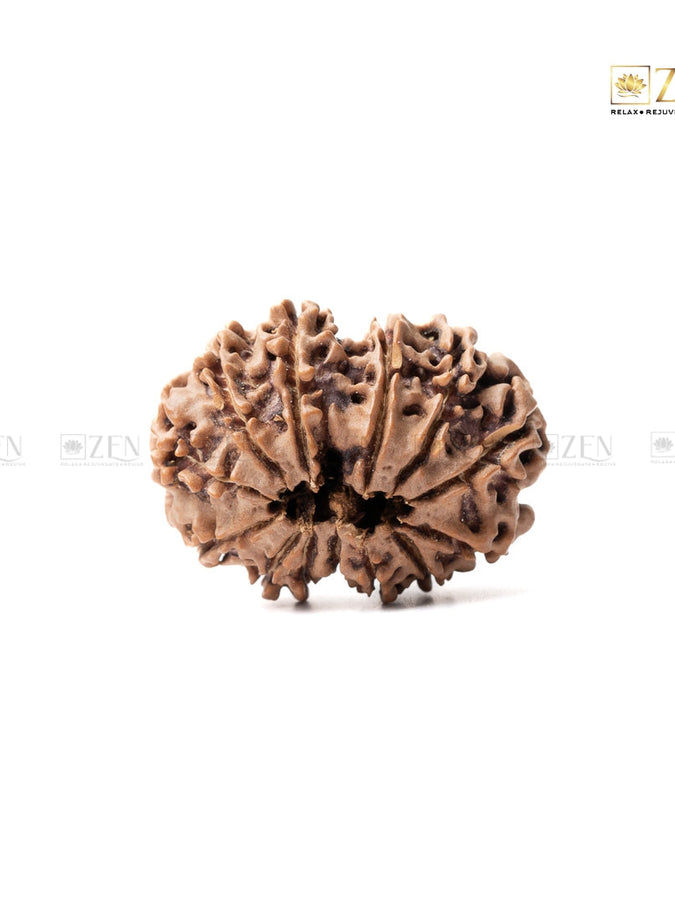 rudraksha | the zen crystals