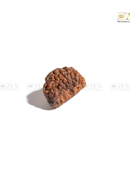 Rudraksha with Shiva Energy for Mental Clarity and Prosperity