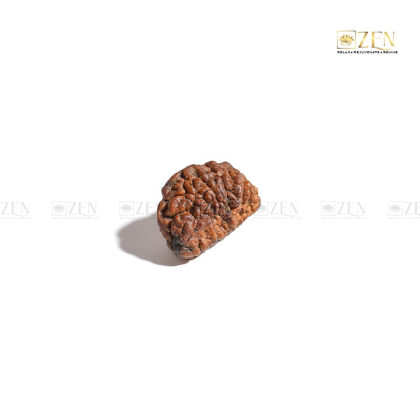 Rudraksha with Shiva Energy for Mental Clarity and Prosperity