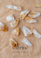 Raw Citrine Mini Chunks | the zen crystals