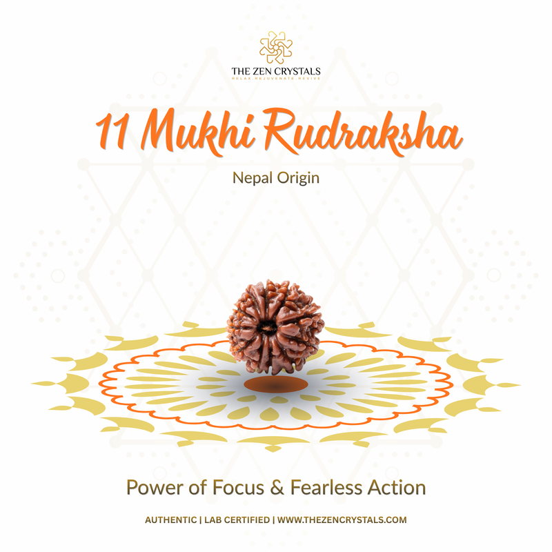 11 Mukhi Rudraksha with decorative elements on a white background, featuring The Zen Crystals branding.