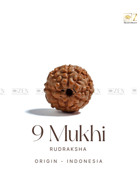 9 Mukhi Rudraksha | The Zen Crystals