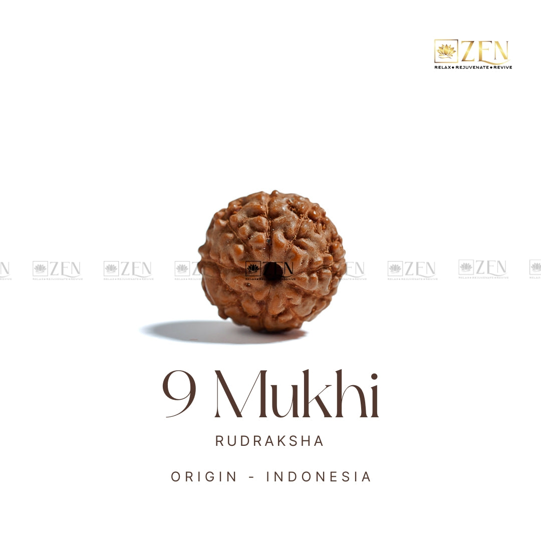 9 Mukhi Rudraksha | The Zen Crystals