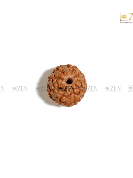Nine Mukhi Rudraksha | The Zen Crystals