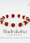 Rudraksha Sphatik bracelet | The Zen Crystals