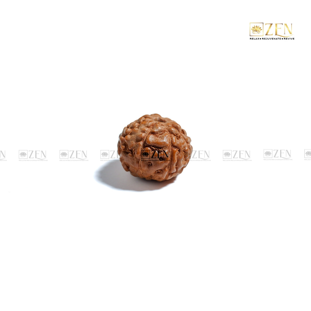 9 Mukhi Rudraksha Indonesia | The Zen Crystals