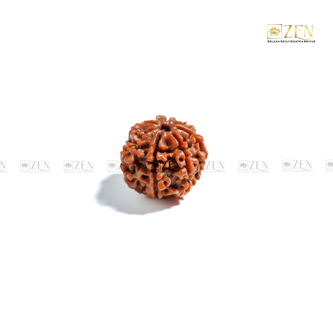 seven mukhi rudraksha | The Zen Crystals