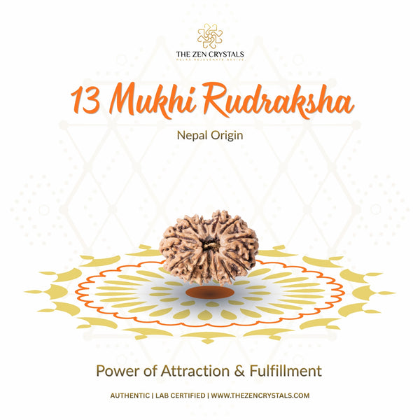 13 mukhi rudraksha | the zen crystals