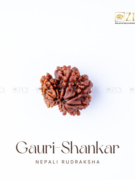 Gauri Shankar Rudraksha - Nepal | the zen crystals