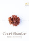 Gauri Shankar Rudraksha - Nepal | the zen crystals