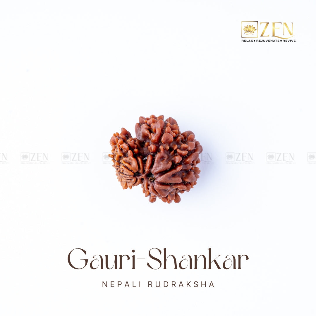 Gauri Shankar Rudraksha - Nepal | the zen crystals