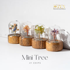 Four mini trees in glass domes on wooden bases with 'ZEN' branding.