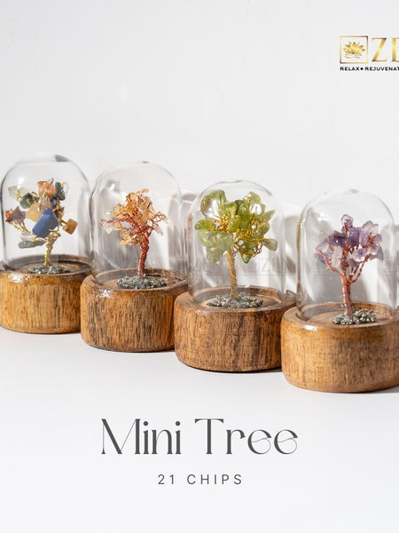 Four mini trees in glass domes on wooden bases with 'ZEN' branding.