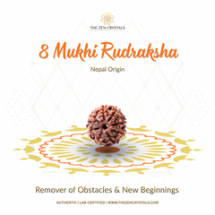 8 mukhi nepali rudraksha with decorative elements on a white background, featuring The Zen Crystals branding.