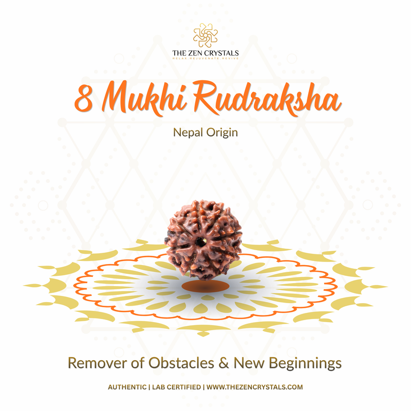 8 mukhi nepali rudraksha with decorative elements on a white background, featuring The Zen Crystals branding.