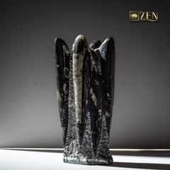 Orthoceras Fossil Cluster on a gray background with 'ZEN' branding.