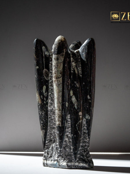 Orthoceras Fossil Cluster on a gray background with 'ZEN' branding.