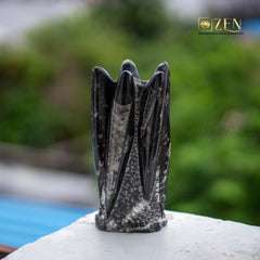 Orthoceras Cluster Fossil on a blurred natural background with 'ZEN' branding.