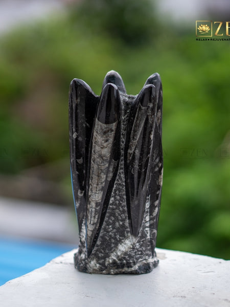 Orthoceras Cluster Fossil on a blurred natural background with 'ZEN' branding.