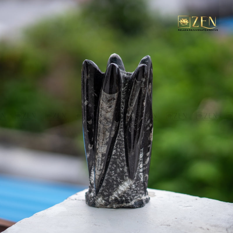 Orthoceras Cluster Fossil on a blurred natural background with 'ZEN' branding.