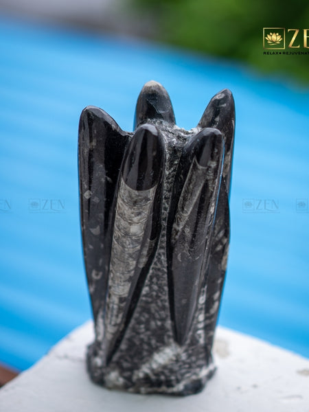Orthoceras Display Stone against a blue background