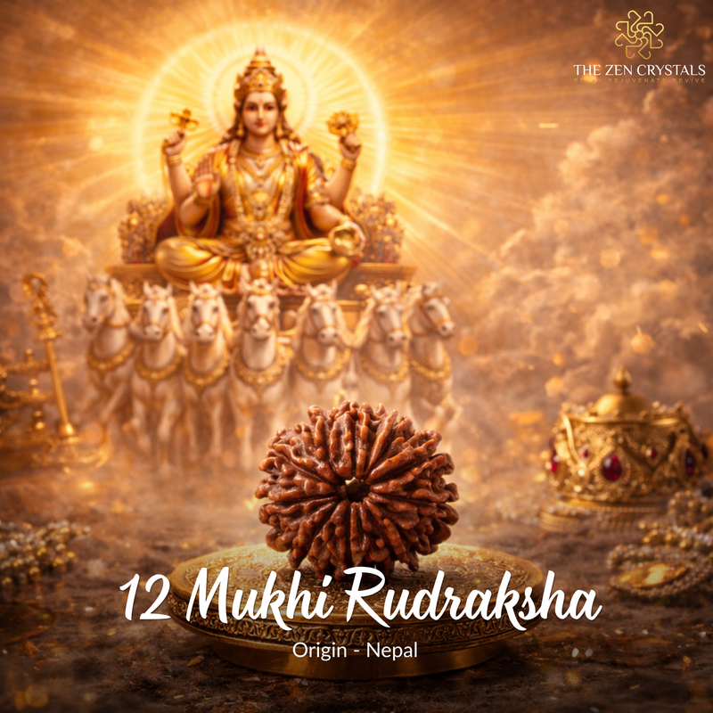 12 Mukhi Rudraksha with a divine figure in the background, featuring The Zen Crystals brand.