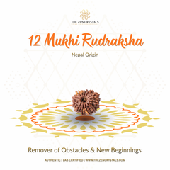 12 Mukhi Rudraksha with decorative elements on a white background, featuring The Zen Crystals branding.