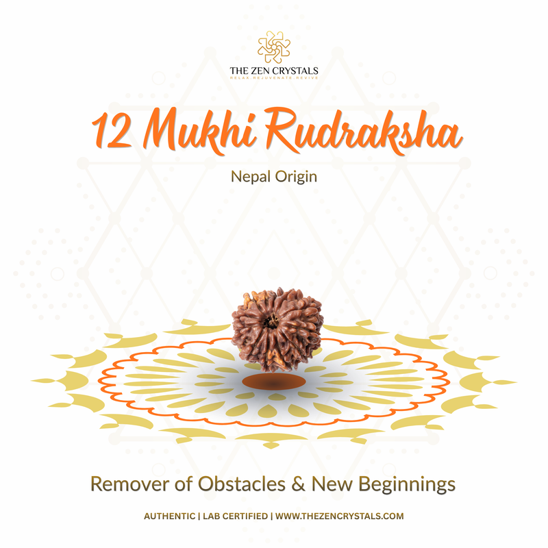 12 Mukhi Rudraksha with decorative elements on a white background, featuring The Zen Crystals branding.