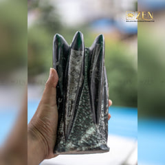 Hand holding a Orthoceras Rock Cluster with 'ZEN' branding in the corner