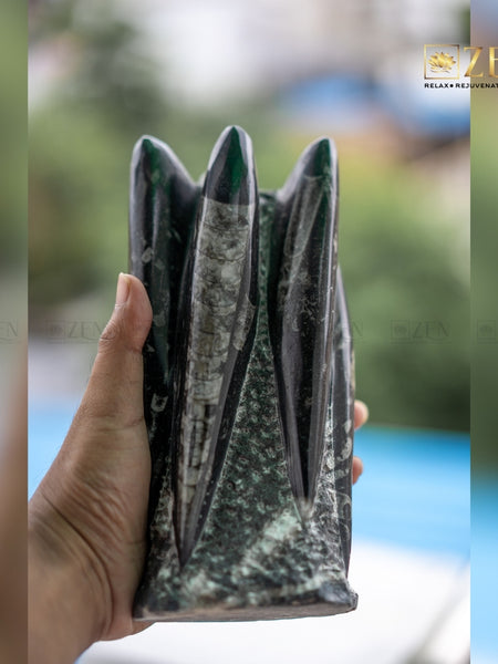 Hand holding a Orthoceras Rock Cluster with 'ZEN' branding in the corner