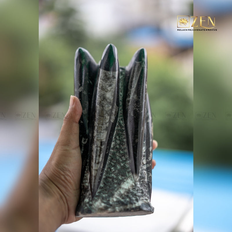 Hand holding a Orthoceras Rock Cluster with 'ZEN' branding in the corner
