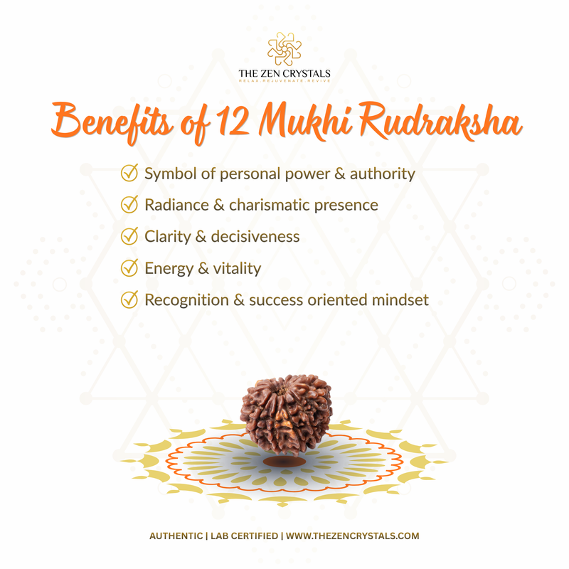 Benefits of 12 Mukhi Rudraksha with a rudraksha bead on a decorative background, featuring The Zen Crystals brand.