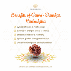 Gauri Shankar Rudraksha with benefits listed on a white background, branded 'The Zen Crystals'.