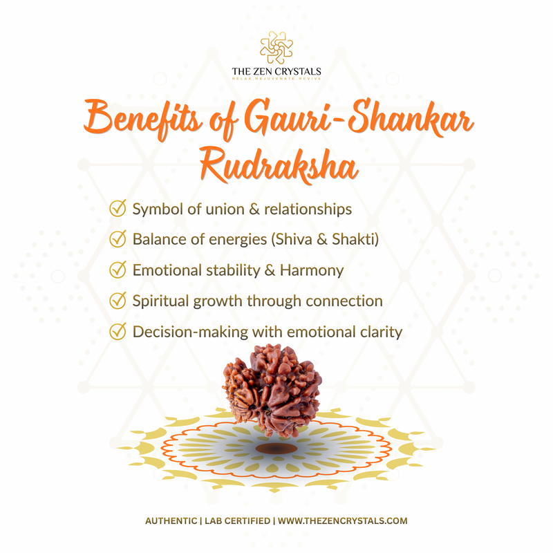 Gauri Shankar Rudraksha with benefits listed on a white background, branded 'The Zen Crystals'.