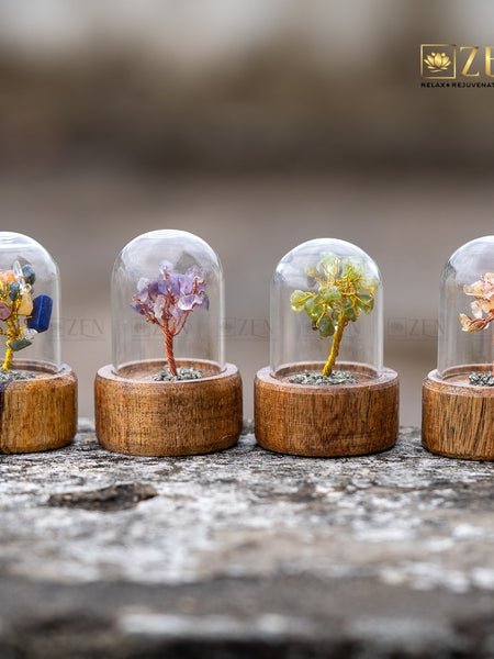Four small trees in glass domes on wooden bases with a blurred background.