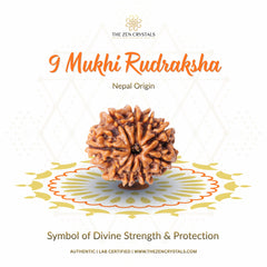 9 Mukhi Napali Rudraksha with decorative elements on a white background, featuring The Zen Crystals brand.