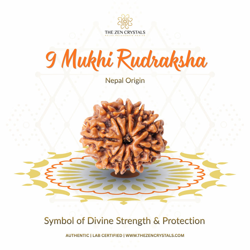 9 Mukhi Napali Rudraksha with decorative elements on a white background, featuring The Zen Crystals brand.