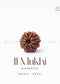 11 mukhi rudraksha | the zen crystals