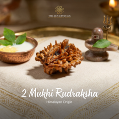 Two Mukhi Rudraksha with decorative elements on a textured surface, featuring 'The Zen Crystals' brand.