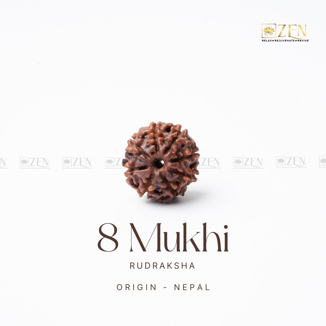 8 Mukhi Rudraksha from Nepal | the zen crystals