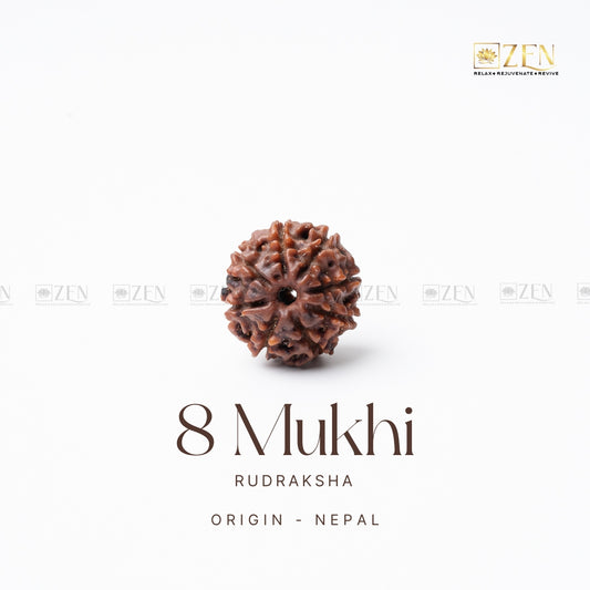 8 Mukhi Rudraksha from Nepal | the zen crystals