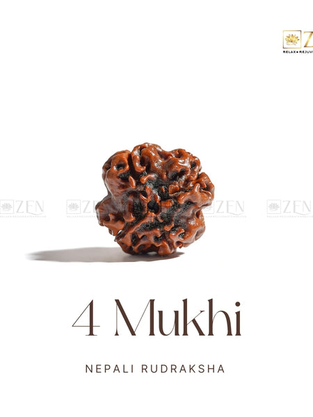 4 Mukhi Nepali Rudraksha | The Zen Crystals