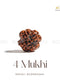 4 Mukhi Nepali Rudraksha | The Zen Crystals