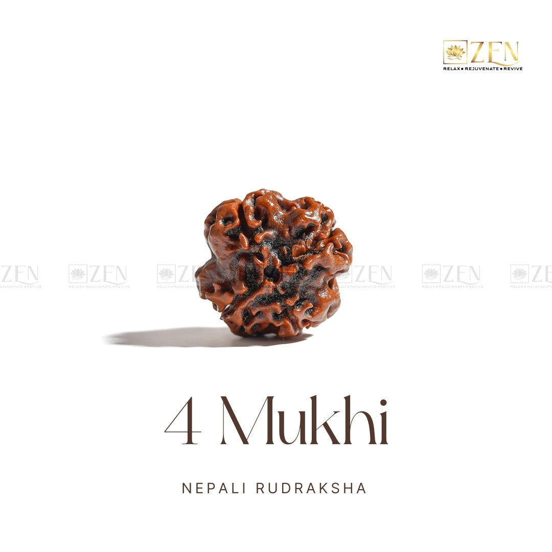 4 Mukhi Nepali Rudraksha | The Zen Crystals