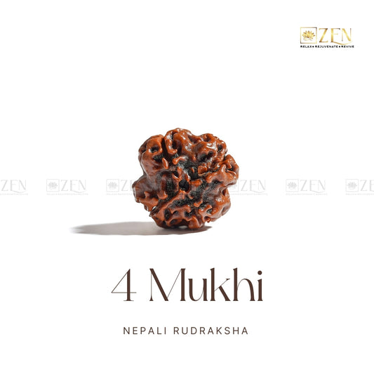 4 Mukhi Nepali Rudraksha | The Zen Crystals