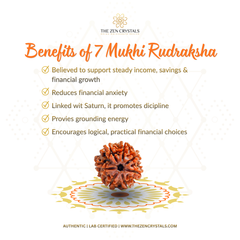 7 Mukhi Rudraksha with benefits listed on a white background