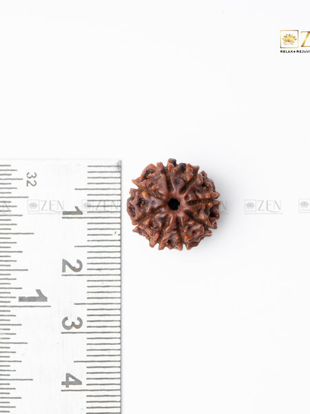 8 Mukhi Nepali Rudraksha | the zen crystals
