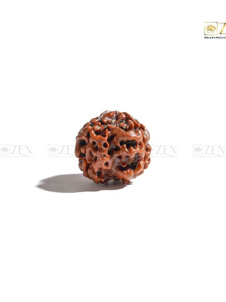 Char Mukhi Nepali Rudraksha | The Zen Crystals