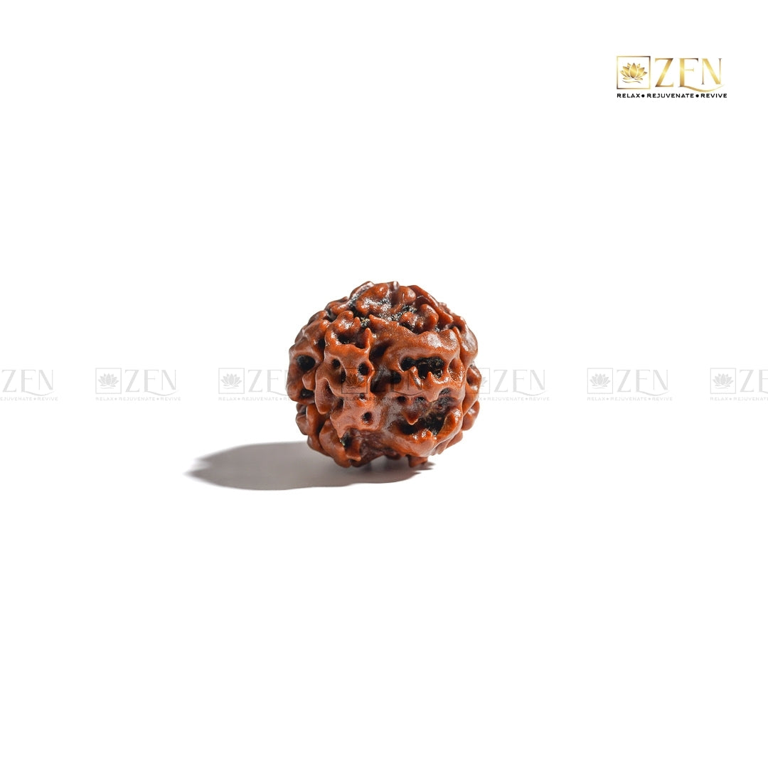 Char Mukhi Nepali Rudraksha | The Zen Crystals