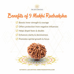 9 Mukhi Nepali Rudraksha with benefits listed on a white background
